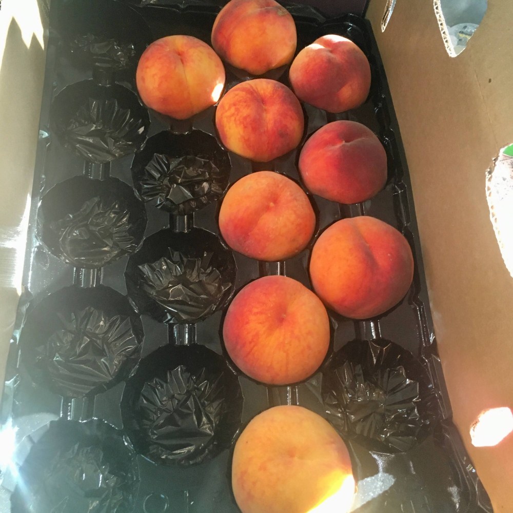 d16c39b5-f4c7-48a3-b5e0-fbcc2f976575